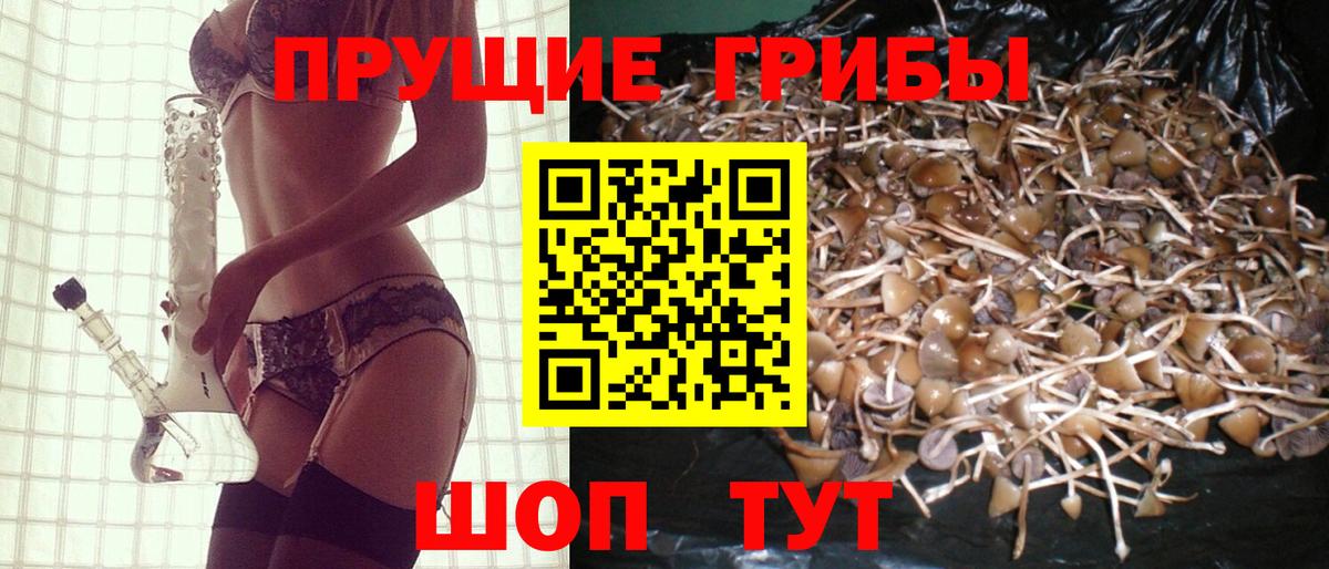 Галлюциногенные грибы прущие грибы Тайшет